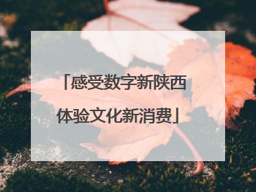 感受数字新陕西 体验文化新消费