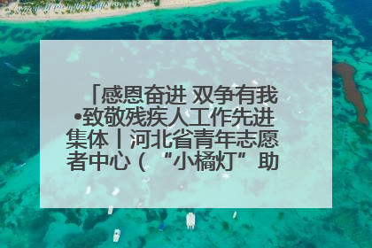 感恩奋进 双争有我•致敬残疾人工作先进集体丨河北省青年志愿者中心（“小橘灯”助残接力计划实施团队）：用温暖陪伴，守护特殊孩子成长