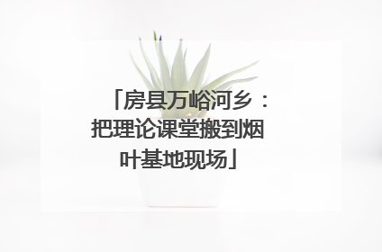 房县万峪河乡：把理论课堂搬到烟叶基地现场