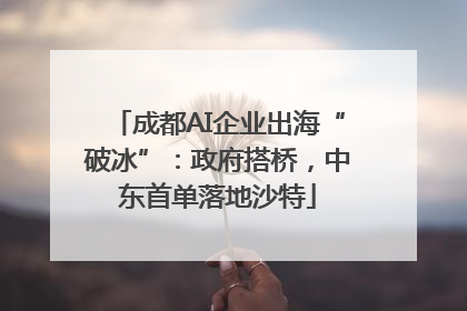 成都AI企业出海“破冰”：政府搭桥，中东首单落地沙特
