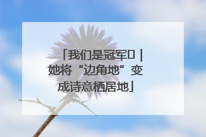 我们是冠军㉓｜她将“边角地”变成诗意栖居地