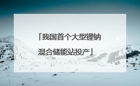 我国首个大型锂钠混合储能站投产