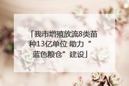 我市增殖放流8类苗种13亿单位 助力“蓝色粮仓”建设