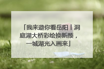 我来邀你看岳阳丨洞庭湖大桥彩绘换新颜，一城湖光入画来