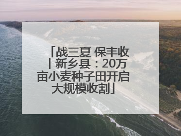 战三夏 保丰收丨新乡县：20万亩小麦种子田开启大规模收割