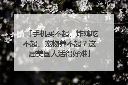 手机买不起、炸鸡吃不起、宠物养不起？这届美国人活得好难