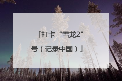 打卡“雪龙2”号（记录中国）