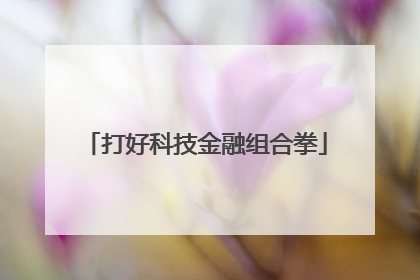 打好科技金融组合拳