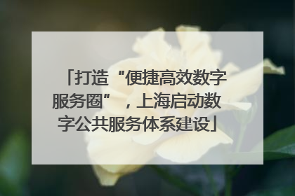 打造“便捷高效数字服务圈”，上海启动数字公共服务体系建设