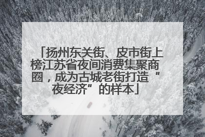 扬州东关街、皮市街上榜江苏省夜间消费集聚商圈，成为古城老街打造“夜经济”的样本