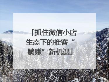 抓住微信小店生态下的推客“躺赚”新机遇