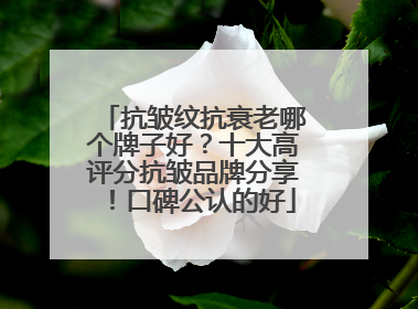 抗皱纹抗衰老哪个牌子好？十大高评分抗皱品牌分享！口碑公认的好