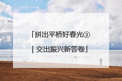 拼出平桥好春光③｜交出振兴新答卷