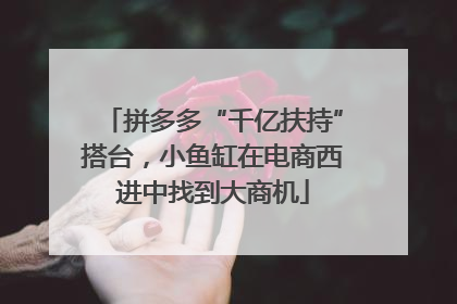拼多多“千亿扶持”搭台，小鱼缸在电商西进中找到大商机