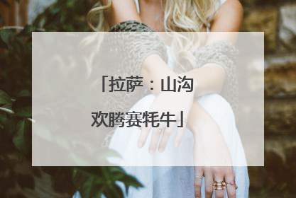 拉萨：山沟欢腾赛牦牛