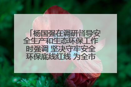 杨国强在调研督导安全生产和生态环保工作时强调 坚决守牢安全环保底线红线 为全市经济社会高质量发展提供坚强保障