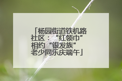 杨园街道铁机路社区：“红领巾”相约“银发族” 老少同乐庆端午