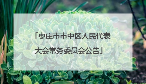 枣庄市市中区人民代表大会常务委员会公告
