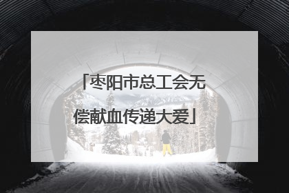 枣阳市总工会无偿献血传递大爱