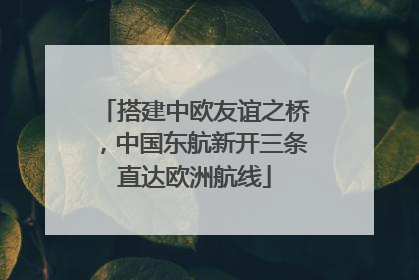 搭建中欧友谊之桥，中国东航新开三条直达欧洲航线