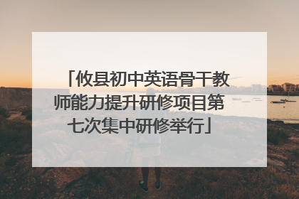 攸县初中英语骨干教师能力提升研修项目第七次集中研修举行