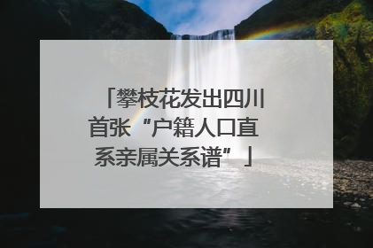 攀枝花发出四川首张“户籍人口直系亲属关系谱”