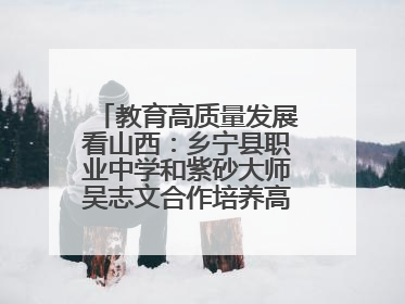 教育高质量发展看山西：乡宁县职业中学和紫砂大师吴志文合作培养高素质技能人才