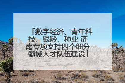 数字经济、青年科技、银龄、种业 济南专项支持四个细分领域人才队伍建设