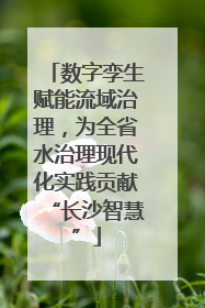 数字孪生赋能流域治理，为全省水治理现代化实践贡献“长沙智慧”