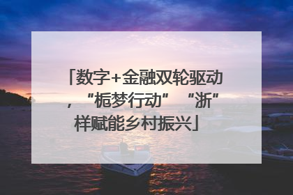 数字+金融双轮驱动，“栀梦行动”“浙”样赋能乡村振兴