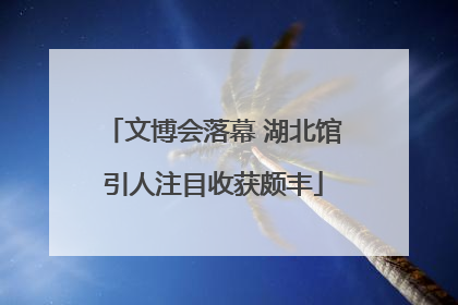 文博会落幕 湖北馆引人注目收获颇丰