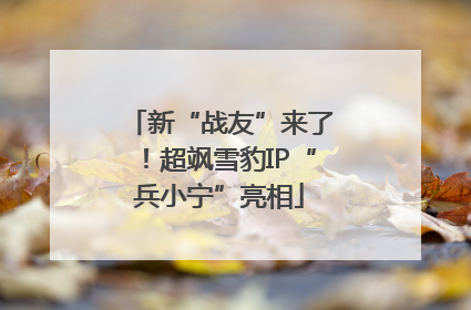 新“战友”来了！超飒雪豹IP“兵小宁”亮相