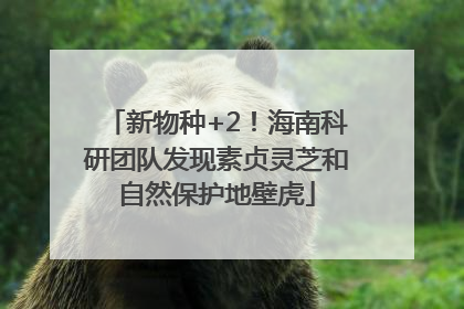 新物种+2！海南科研团队发现素贞灵芝和自然保护地壁虎