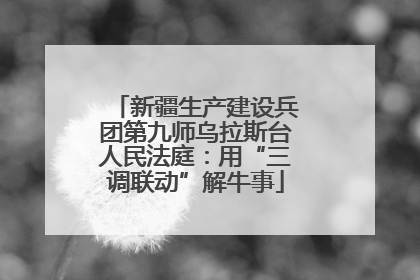 新疆生产建设兵团第九师乌拉斯台人民法庭：用“三调联动”解牛事