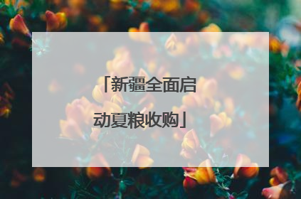 新疆全面启动夏粮收购