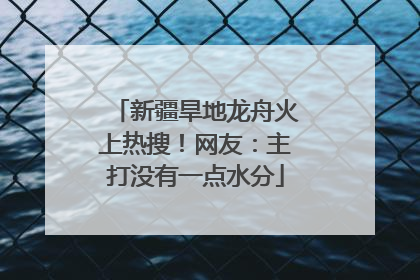 新疆旱地龙舟火上热搜！网友：主打没有一点水分