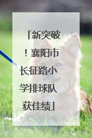 新突破！襄阳市长征路小学排球队获佳绩