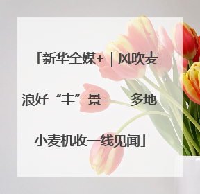新华全媒+｜风吹麦浪好“丰”景——多地小麦机收一线见闻