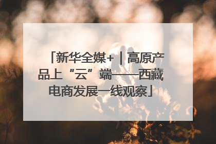 新华全媒+｜高原产品上“云”端——西藏电商发展一线观察