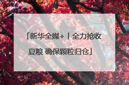 新华全媒+丨全力抢收夏粮 确保颗粒归仓