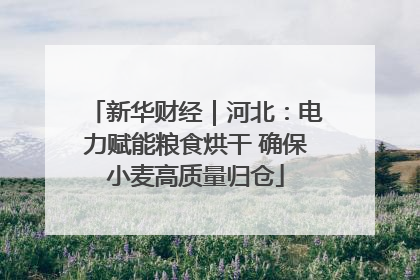 新华财经｜河北：电力赋能粮食烘干 确保小麦高质量归仓