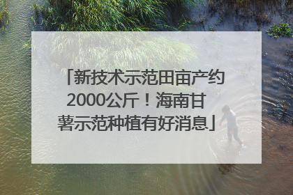 新技术示范田亩产约2000公斤！海南甘薯示范种植有好消息