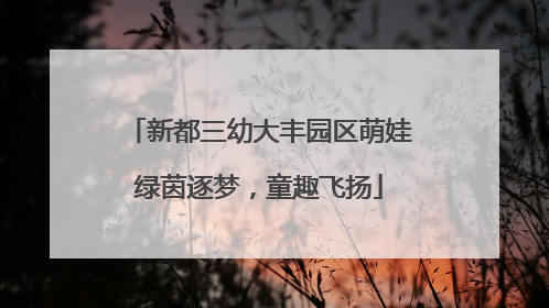 新都三幼大丰园区萌娃绿茵逐梦，童趣飞扬