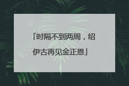 时隔不到两周，绍伊古再见金正恩