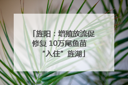 旌阳：增殖放流促修复 10万尾鱼苗“入住”旌湖