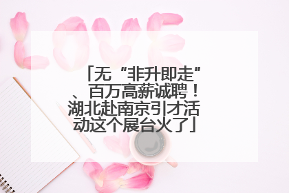 无“非升即走”、百万高薪诚聘！湖北赴南京引才活动这个展台火了