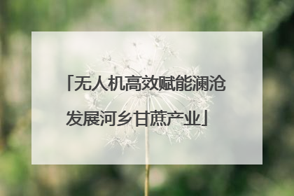 无人机高效赋能澜沧发展河乡甘蔗产业