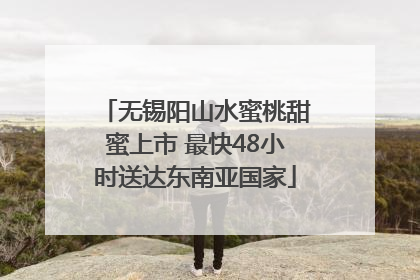 无锡阳山水蜜桃甜蜜上市 最快48小时送达东南亚国家