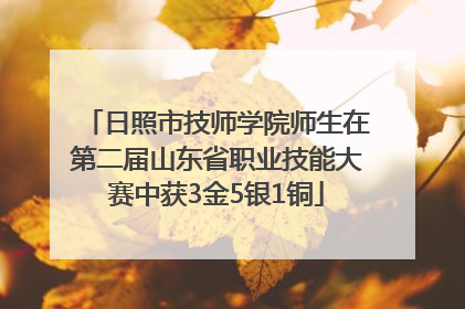日照市技师学院师生在第二届山东省职业技能大赛中获3金5银1铜