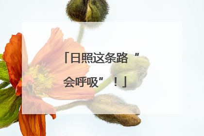 日照这条路“会呼吸”！